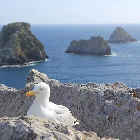 De La 2* Crozon
